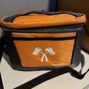 In n out Cooler lunch tote